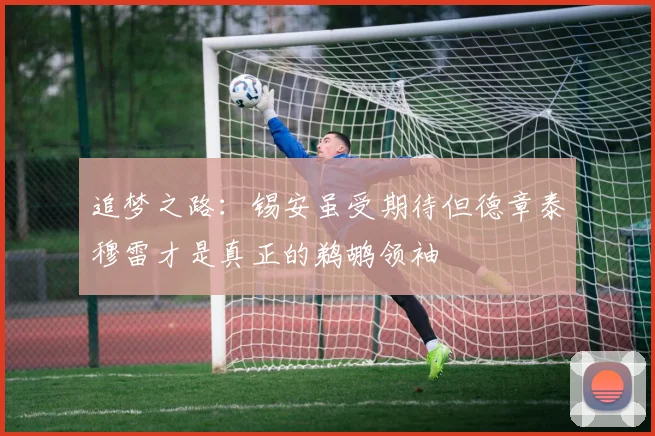 追梦之路：锡安虽受期待但德章泰穆雷才是真正的鹈鹕领袖