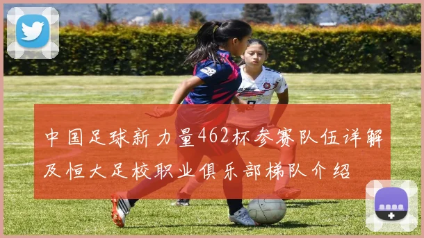 中国足球新力量462杯参赛队伍详解及恒大足校职业俱乐部梯队介绍