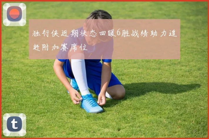 独行侠近期状态回暖6胜战绩助力追赶附加赛席位